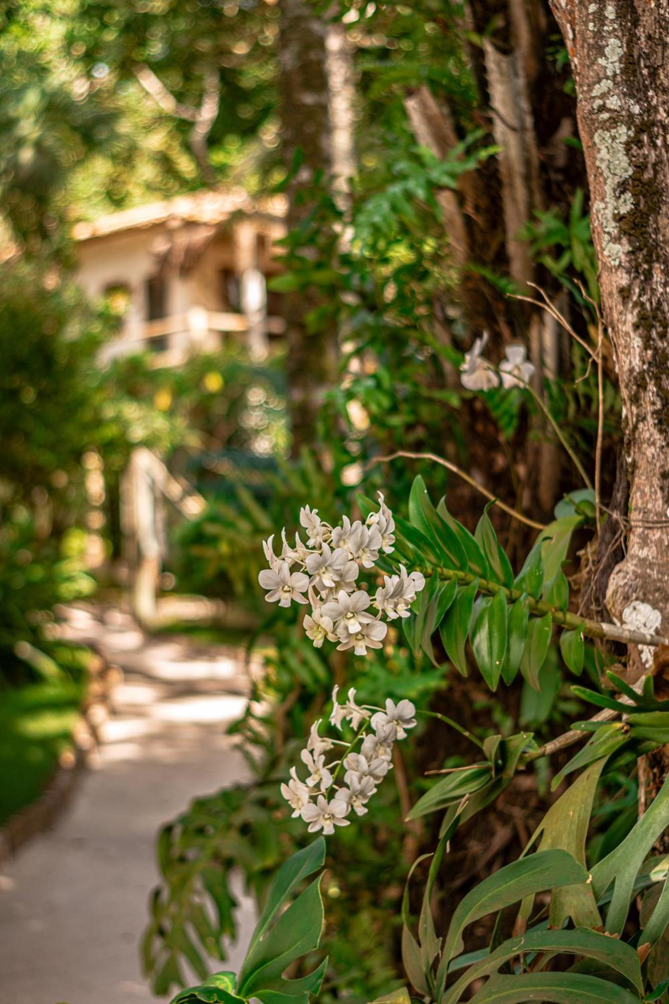 Hotel Boutique Bahia Bonita Trancoso Eksteriør billede